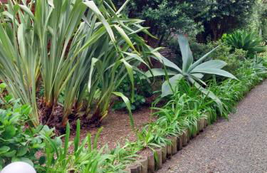 Sítio da Assumada - Foto 33