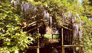 Landhaus Börmoos - Foto 4