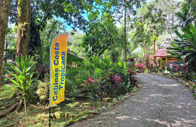 Cabinas Costa Tropicana - Foto 38