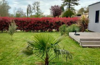 Les Logis de la Seugne - Foto 8