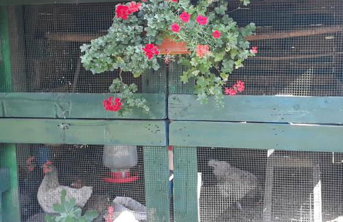 El Atico de Villalmar - Foto 51