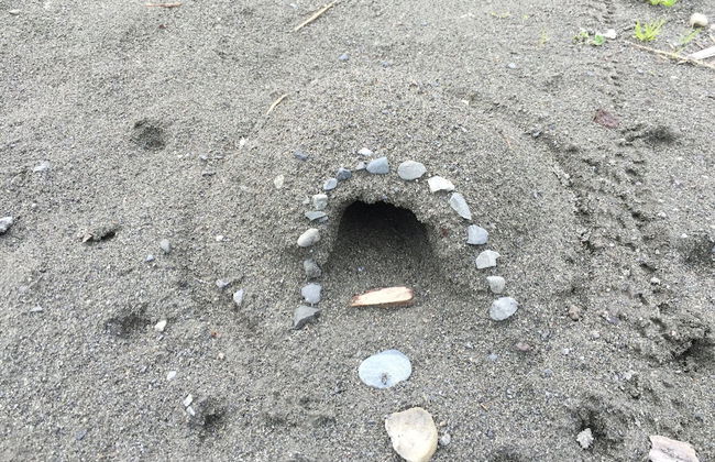 12GS - BBQ - WiFi - Dishwasher - Sleeps 4 - Foto 24