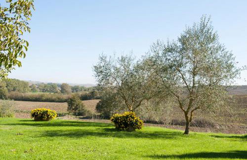 Agriturismo San Giorgio - Foto 86