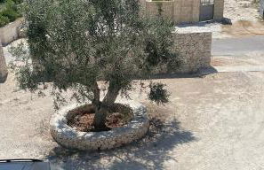 Loft31 - monolocale in campagna - Foto 14