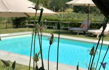 Gio Toscana - Foto 35