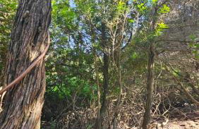 Acquamarina House by the sea - Foto 43