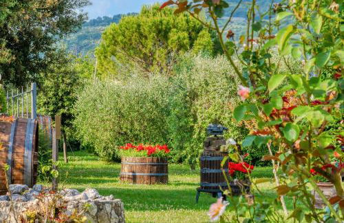 Agriturismo Le Terre del Casale - Photo 18