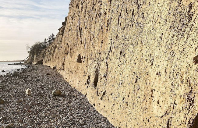 5 Person Holiday Home in Oster Assels-by Traum - Foto 19