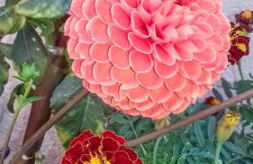 Apartments Kastelani - Photo 10