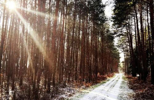 Villa Sophienschlösschen nahe Berlin - Exklusive Zeit zwischen 5 Seen mit großer Küche, gratis Sauna & 3500qm Garten - Foto 52