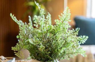 Harbor Haven Game Room Gym - Foto 12