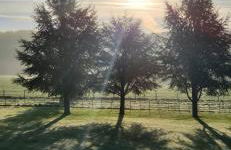 The Cozy Cub - Foto 18