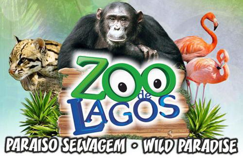 Villa Oasis, Piscina, Jacuzzi, Ténis e Praias! - Foto 49