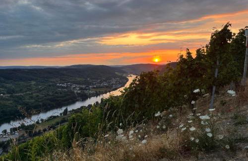 Apartment an der Mosel 2 - Foto 40