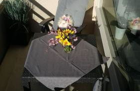 Ferienwohnung mit Weitblick & Strandlage - Foto 31