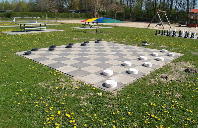 Modern Chalet not far From the Biesbosch - Foto 21