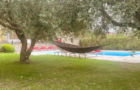 Les Oliviers - Foto 7