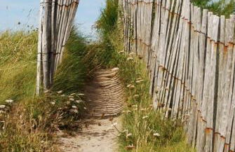 Villa le Nid Des Dunes & Spa 2 gîtes écologiques - Foto 32