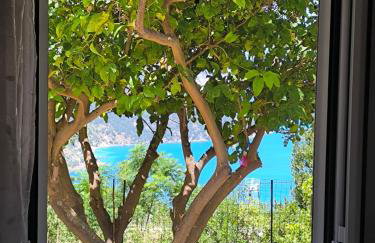 Sofias house at Agkona Kefalonia - Foto 52
