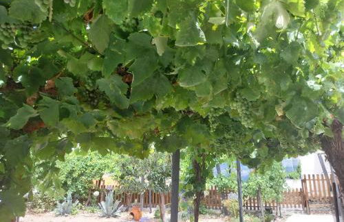 Casa da Muralha - Foto 80