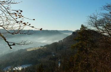 Haus Kellenburg - Foto 50