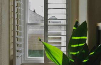 Wheelwright House - Foto 24