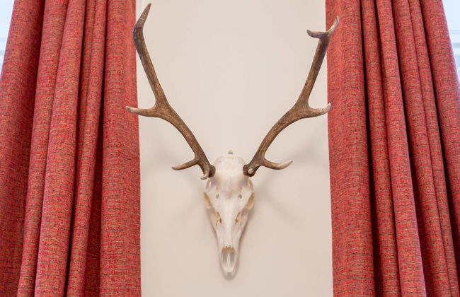 JOIVY Spacious 2 Bed Apt in Ideal City Centre Location - Foto 5