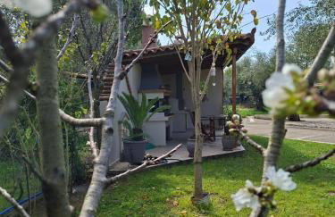 Vasiliki's House Zacharo , 27054 , Ilias - Foto 40