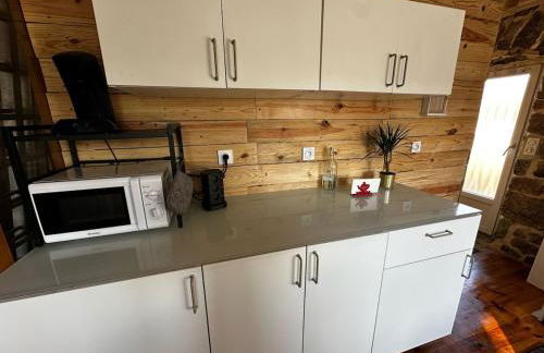 Maison de campagne atypique à Tence - Foto 13