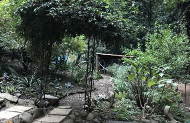 Private Glamping Getaway in the Redwoods near Santa Cruz, California - Foto 35