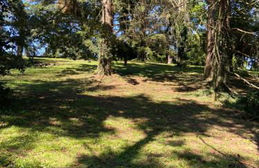 Demeure de prestige - Foto 22