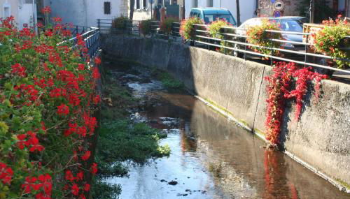 Ferienwohnung Spatzennest in Edesheim - Foto 5
