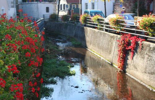 Ferienwohnung Spatzennest in Edesheim - Foto 5