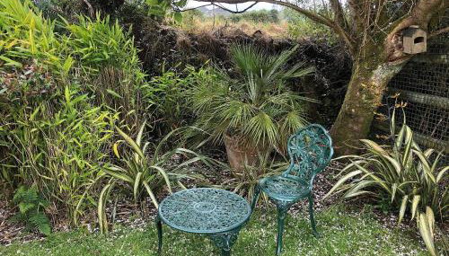 The Swallows - Foto 3