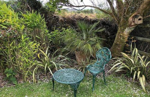 The Swallows - Foto 3