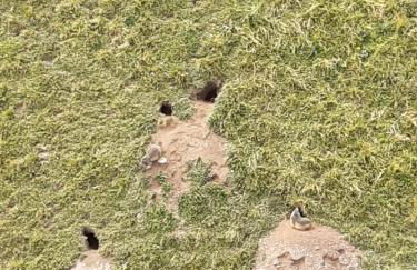 T2 vue piste Résidence Vostok Zodiaque - Photo 55