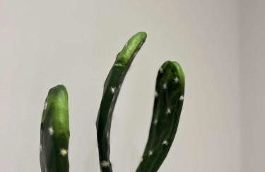 Wild City Centre Double Suite - Basketball Arcade Game, Free Gym - Foto 42