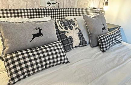 Estudio en Baqueira con piscina y parking - Foto 10