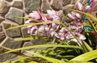 Villa Safari Charm - Photo 28