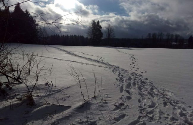 Holiday Apartment Owl's Nest - Foto 19