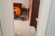 Da Ersilia - Foto 33