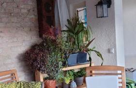 Auftanken im Grünen _ just4you_b.Berlin - Photo 38