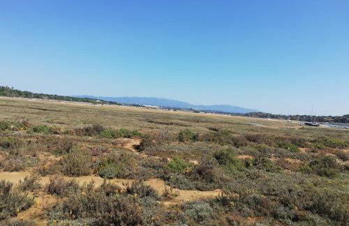 Dunas Mar - Foto 38