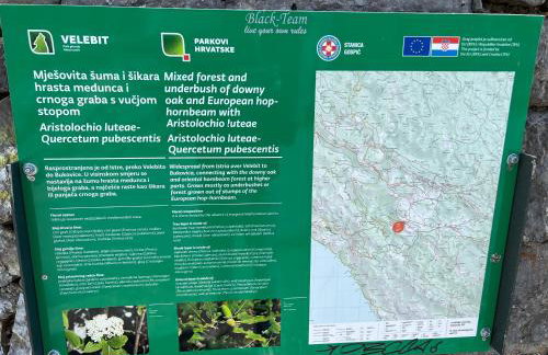 Mountain House Paula - Foto 47