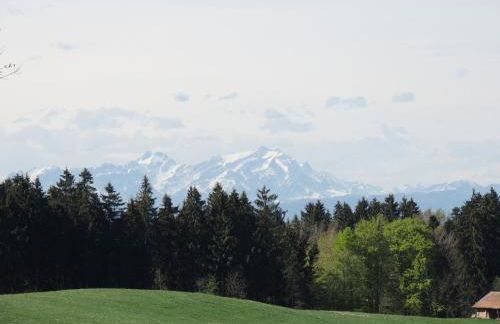 Ferienwohnung Butscher - Foto 38