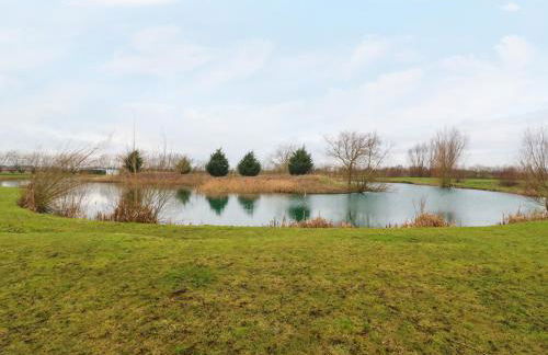 Kingfisher - Foto 23