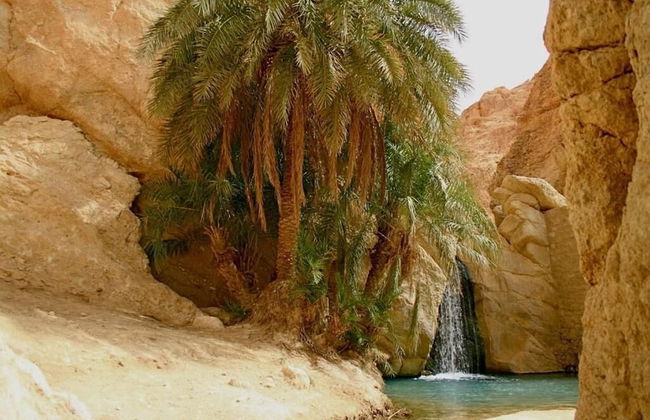 Villa Atlas Oasis - Foto 15