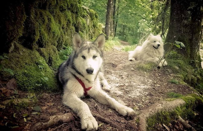 Soča Home With The View - Foto 40