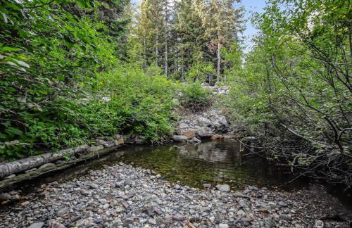 Alpine Retreat at Snoqualmie Pass- 5-Min to Slopes, Private Creek, BBQ, Fireplace, Smart TVs, Kids Games, Hi-Speed Wi-Fi - Foto 10