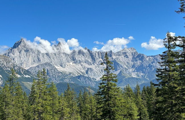 Apartment in Filzmoos Near Ski Amade - Photo 14